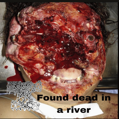 Death By Hornets : Found Dead in a River